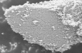 Plain TiO2 titania nanospheres and microspheres(Inorganic/Titania/Plain)
